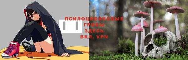 дмт Вязьма
