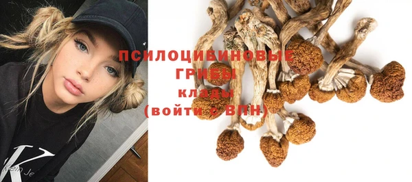кристаллы Вяземский