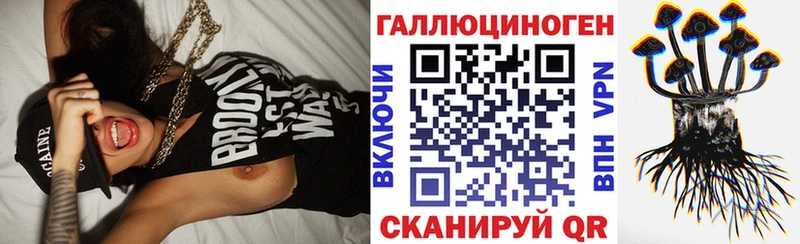 Галлюциногенные грибы Psilocybine cubensis  Елец 