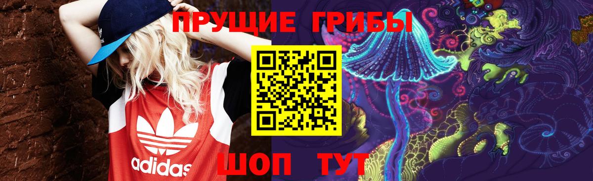 Елец  сколько стоит  Вход с VPN  Галлюциногенные грибы прущие грибы 